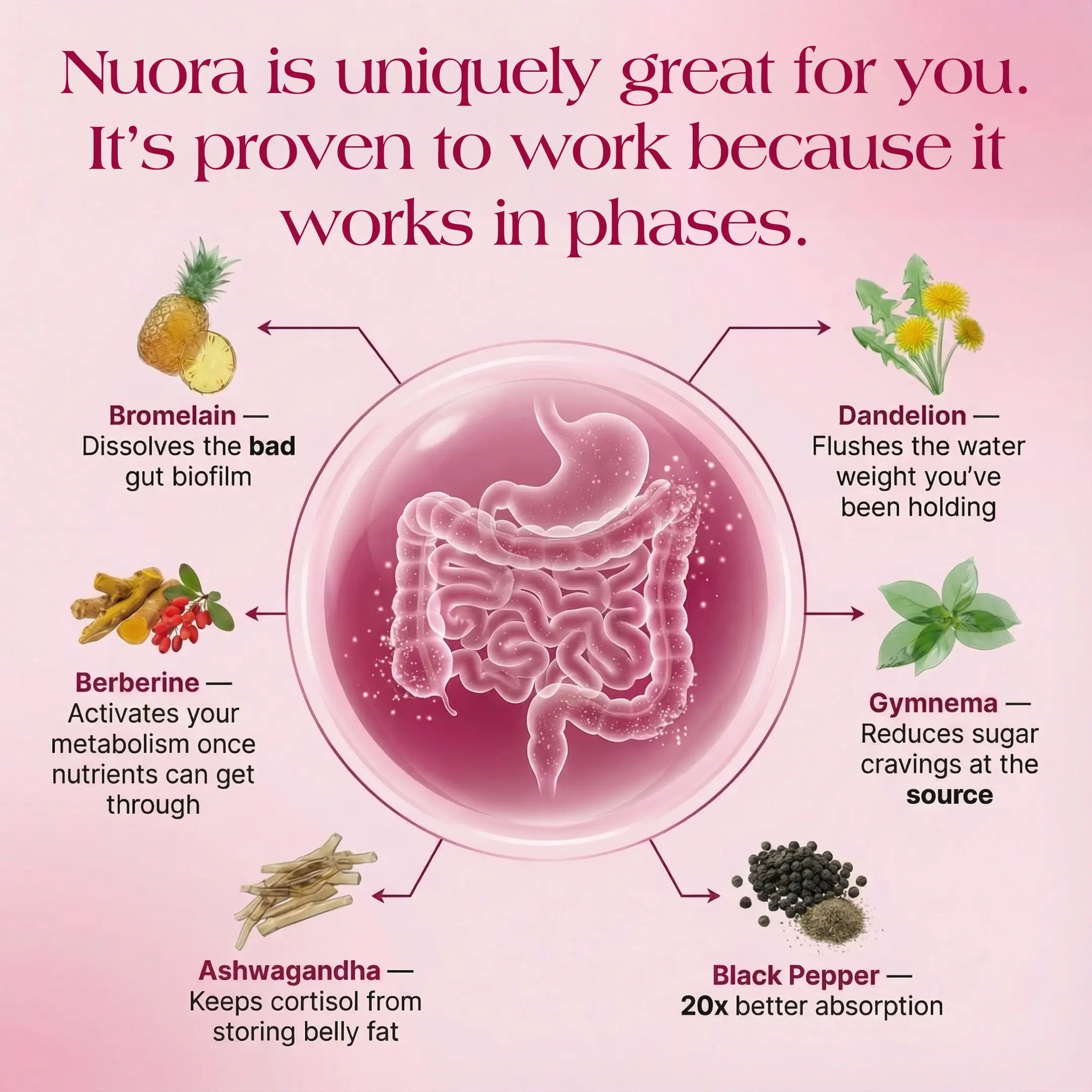 Nuora™ Gut Ritual | Control New Copy