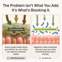 Nuora™ Gut Biofilm Ritual