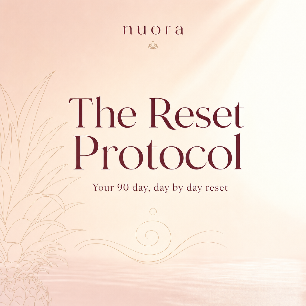 The Reset Protocol guide cover